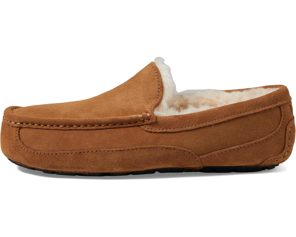 Men's UGG Wide Ascot Chestnut